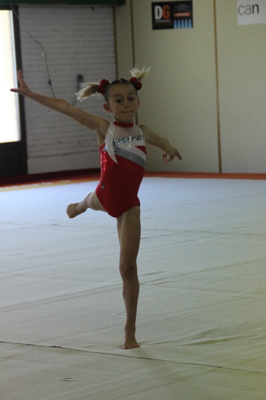 Amaya albergó el Campeonato Navarro de GAF, Promogym e Inigym